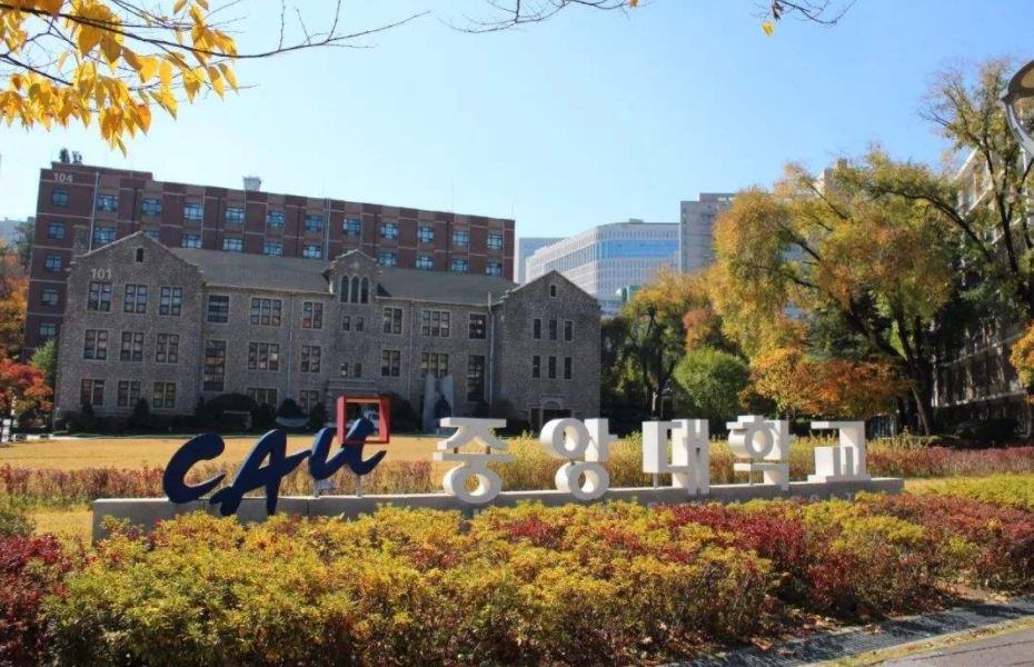 韩国中央大学